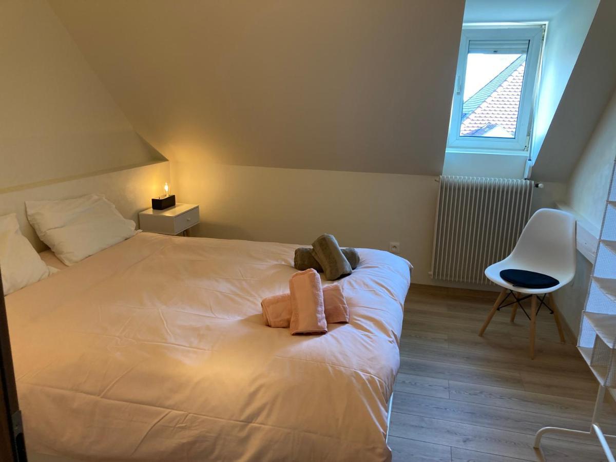 Les Moulins Tres Agreable Et Idealement Situe Daire Colmar Dış mekan fotoğraf