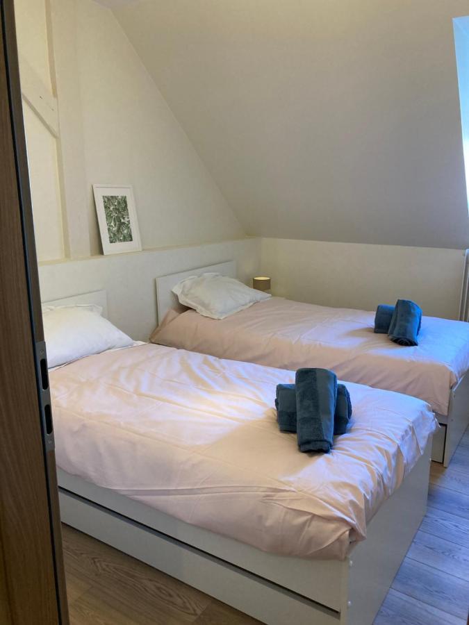 Les Moulins Tres Agreable Et Idealement Situe Daire Colmar Dış mekan fotoğraf